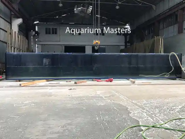 Acrylic Aquarium